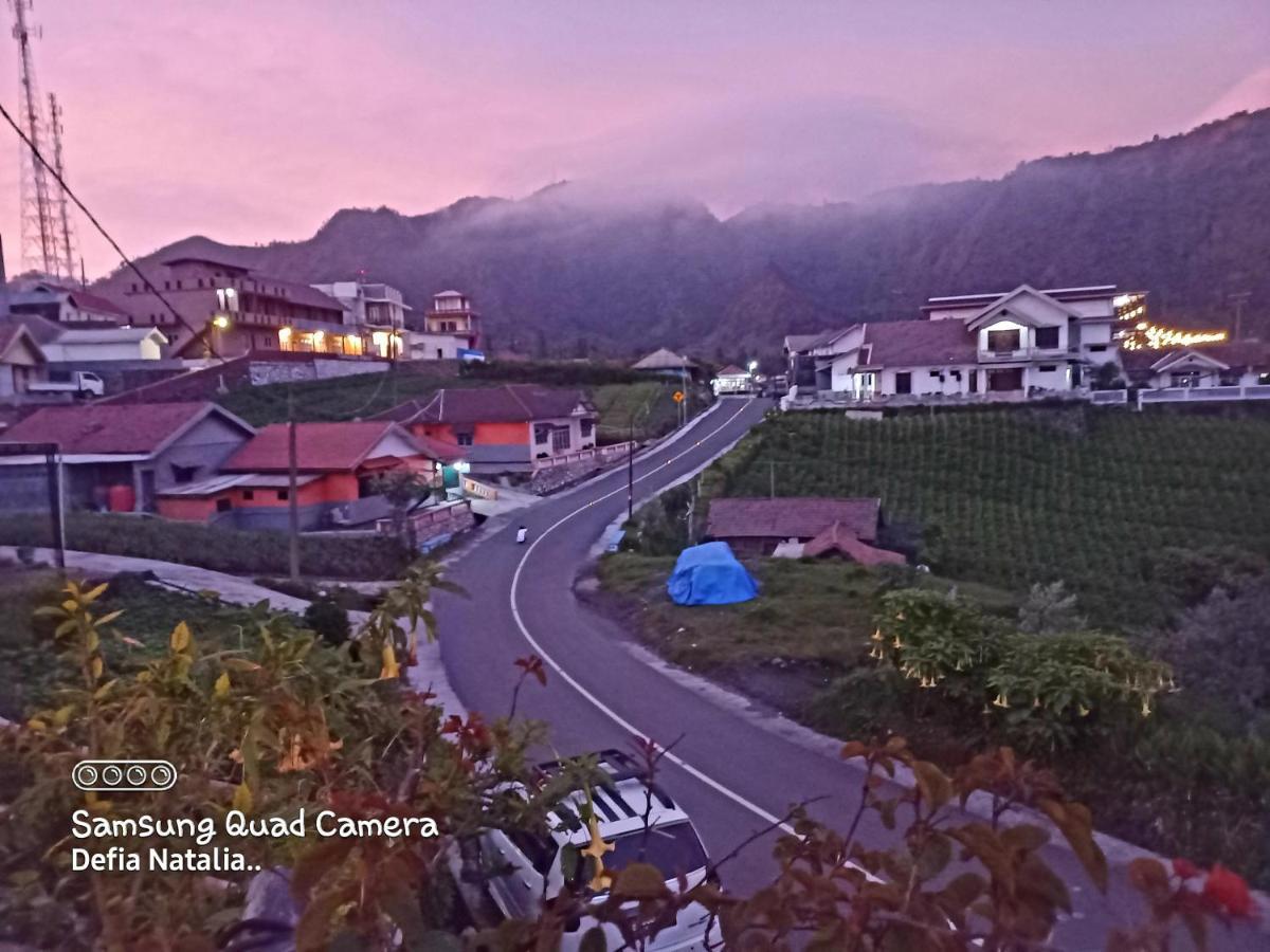 Bromo Deddy Homestay Экстерьер фото