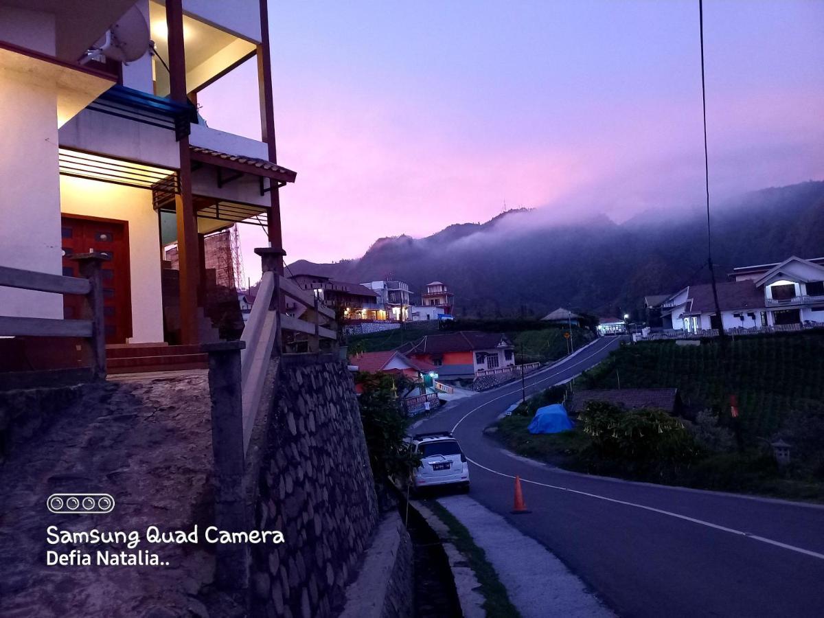 Bromo Deddy Homestay Экстерьер фото