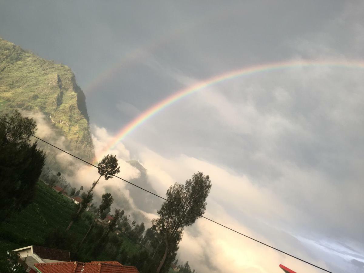 Bromo Deddy Homestay Экстерьер фото