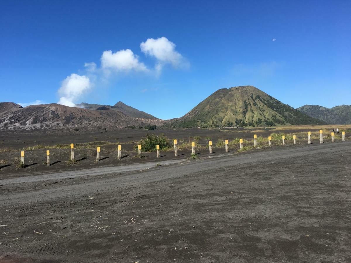 Bromo Deddy Homestay Экстерьер фото