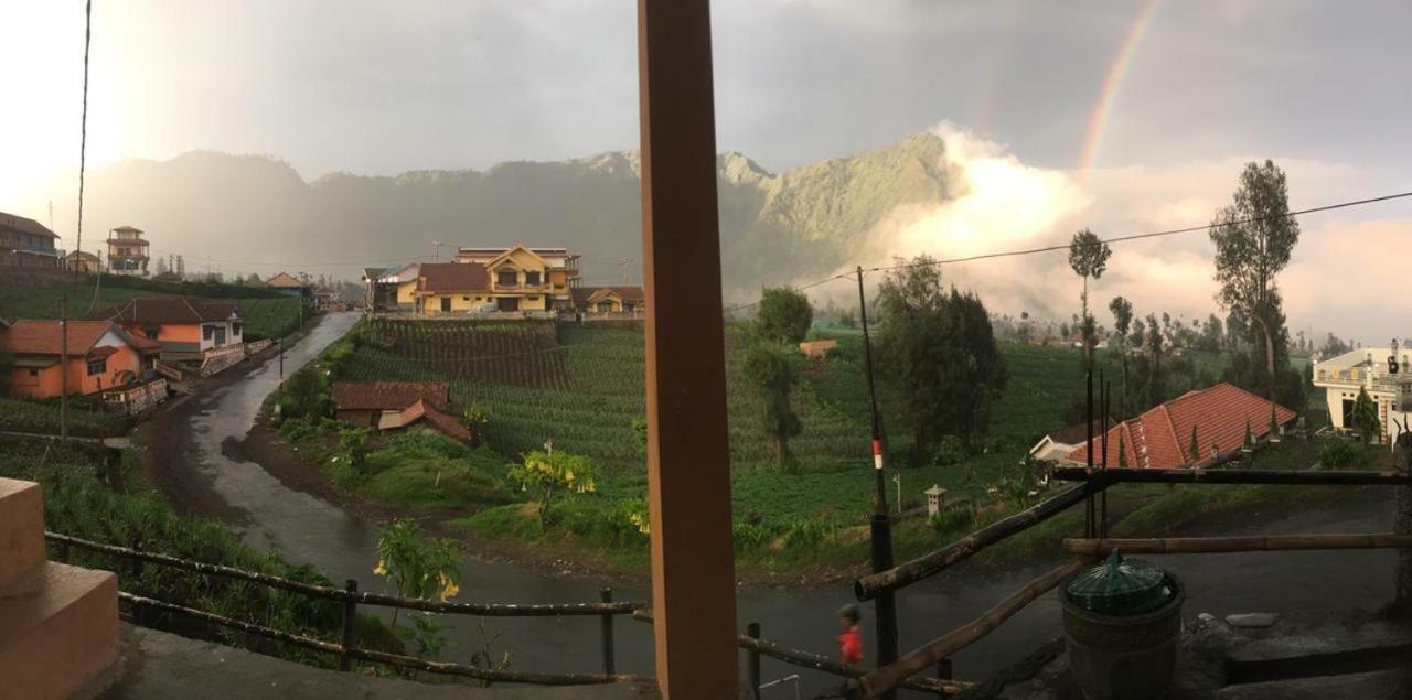 Bromo Deddy Homestay Экстерьер фото